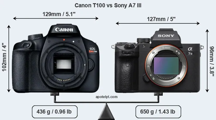 Size Canon T100 vs Sony A7 III