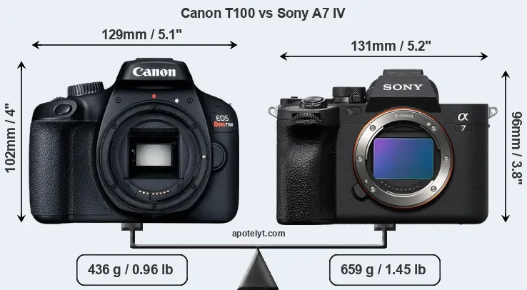 Size Canon T100 vs Sony A7 IV