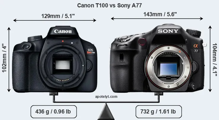 Size Canon T100 vs Sony A77