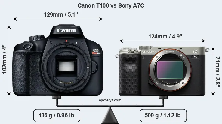 Size Canon T100 vs Sony A7C