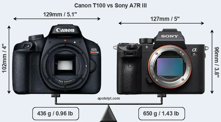 Size Canon T100 vs Sony A7R III