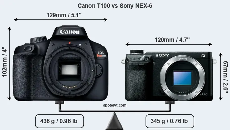 Size Canon T100 vs Sony NEX-6
