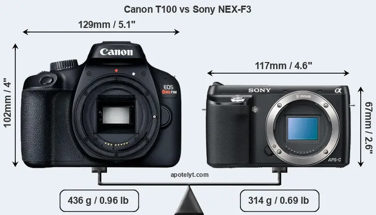 Size Canon T100 vs Sony NEX-F3