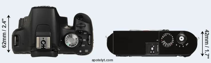 Compare T1i versus M Typ 262 top