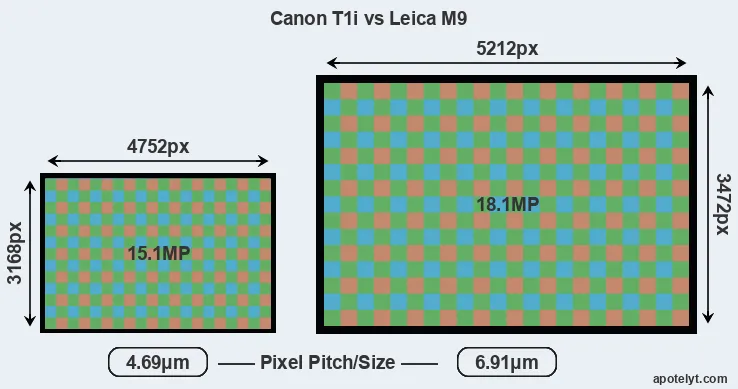 T1i versus M9 MP