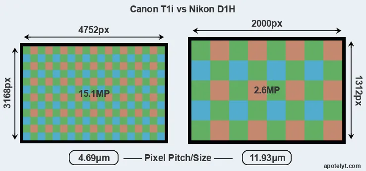 T1i versus D1H MP