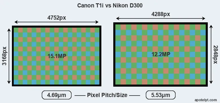 T1i versus D300 MP