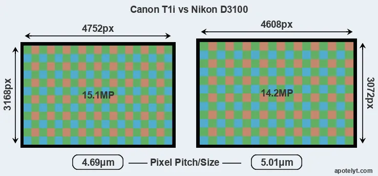 T1i versus D3100 MP