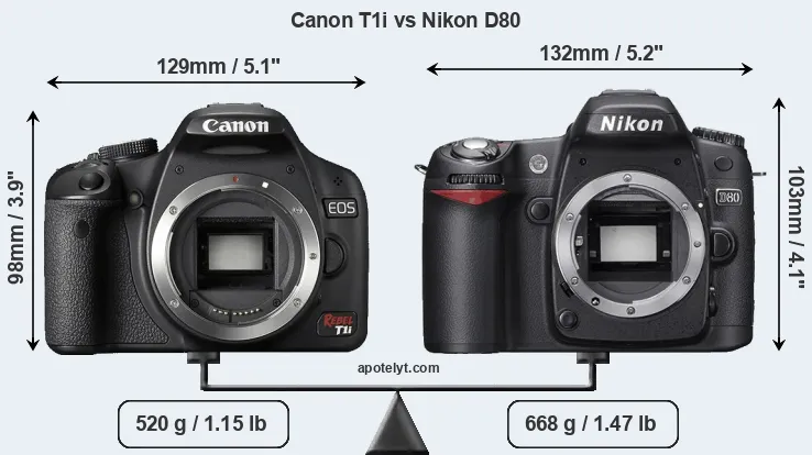 Size Canon T1i vs Nikon D80