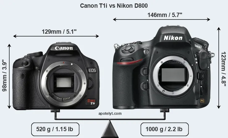 Size Canon T1i vs Nikon D800