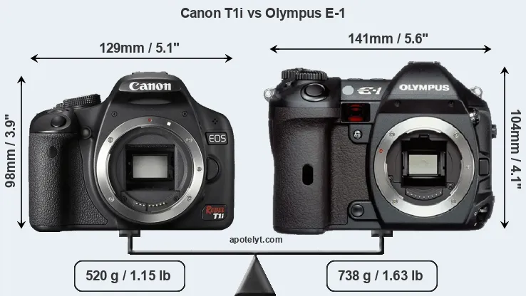 Size Canon T1i vs Olympus E-1