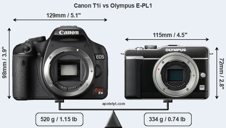 Size Canon T1i vs Olympus E-PL1