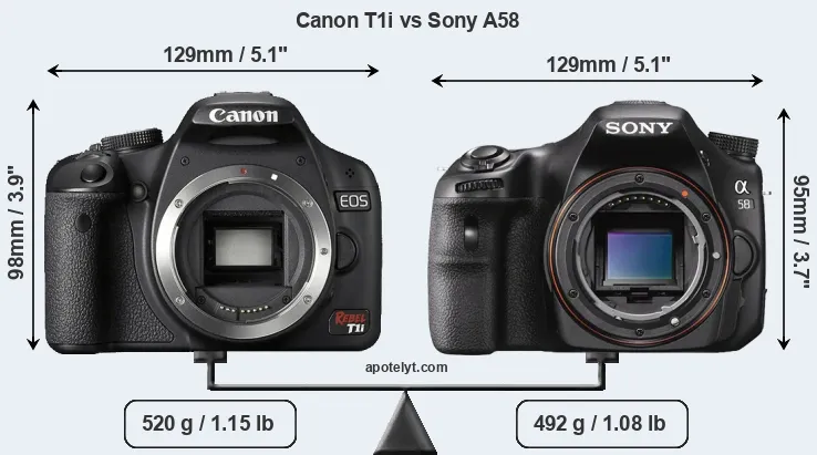 Size Canon T1i vs Sony A58