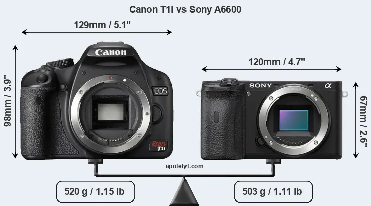 Size Canon T1i vs Sony A6600