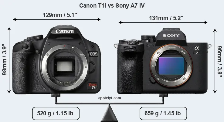 Size Canon T1i vs Sony A7 IV