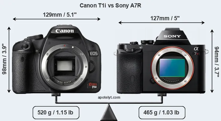 Size Canon T1i vs Sony A7R