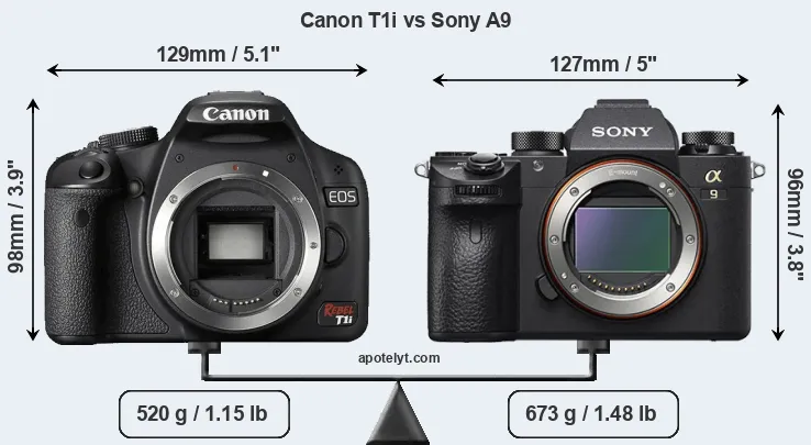 Size Canon T1i vs Sony A9
