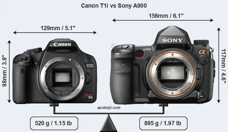 Size Canon T1i vs Sony A900