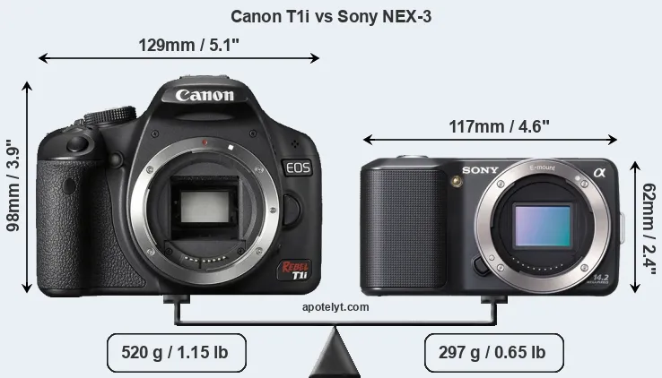 Size Canon T1i vs Sony NEX-3