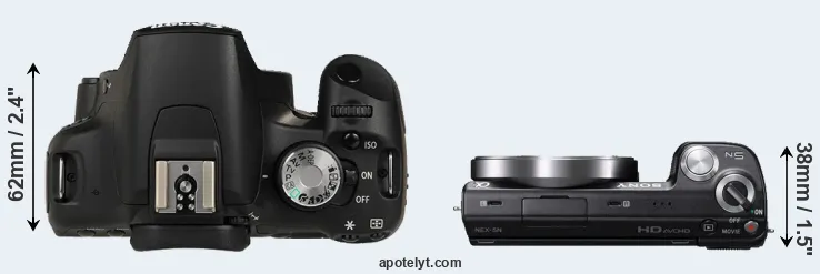 Compare T1i versus NEX-5N top