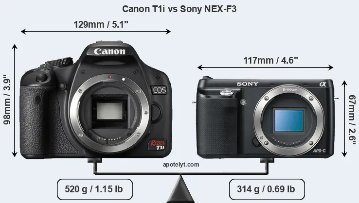 Size Canon T1i vs Sony NEX-F3