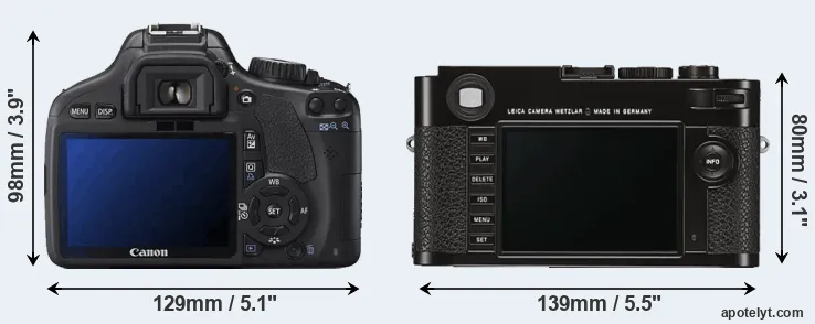 Comparison T2i or M Typ 262 rear