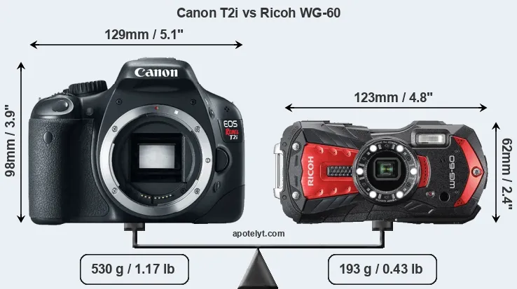 Size Canon T2i vs Ricoh WG-60