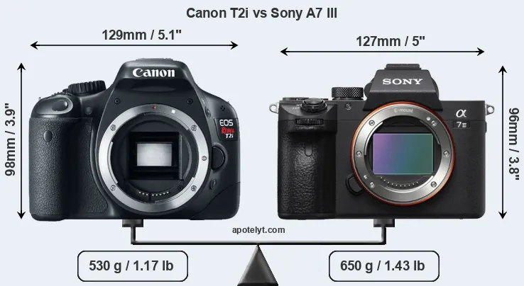 Size Canon T2i vs Sony A7 III