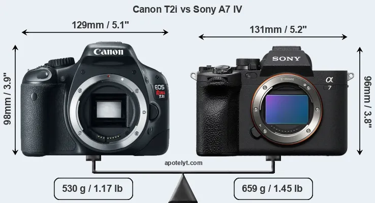 Size Canon T2i vs Sony A7 IV