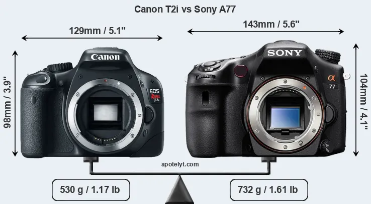 Size Canon T2i vs Sony A77