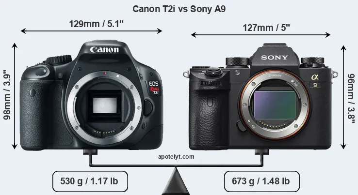 Size Canon T2i vs Sony A9
