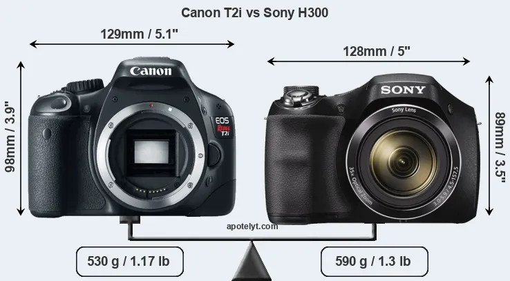 Size Canon T2i vs Sony H300