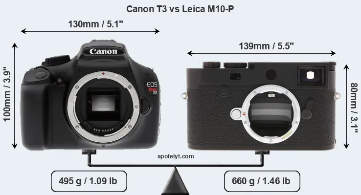 Size Canon T3 vs Leica M10-P