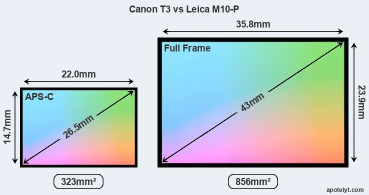 Canon T3 and Leica M10-P sensor measures