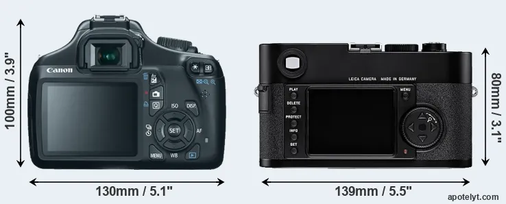 Comparison T3 or M8 rear