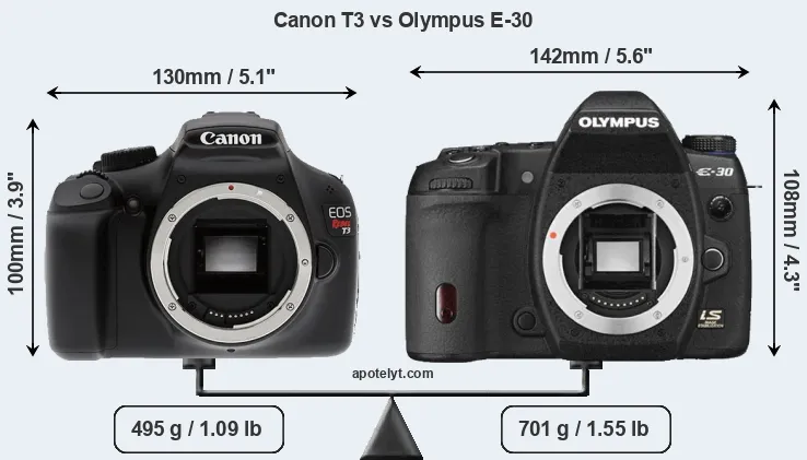 Size Canon T3 vs Olympus E-30