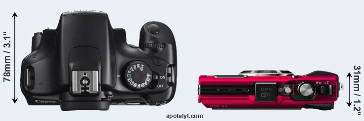 Compare T3 versus TG-4 top