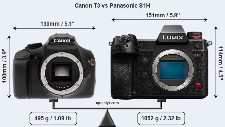 Size Canon T3 vs Panasonic S1H