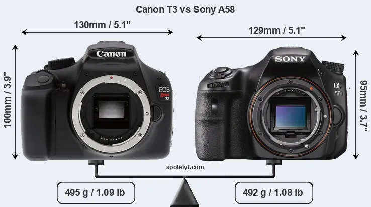 Size Canon T3 vs Sony A58