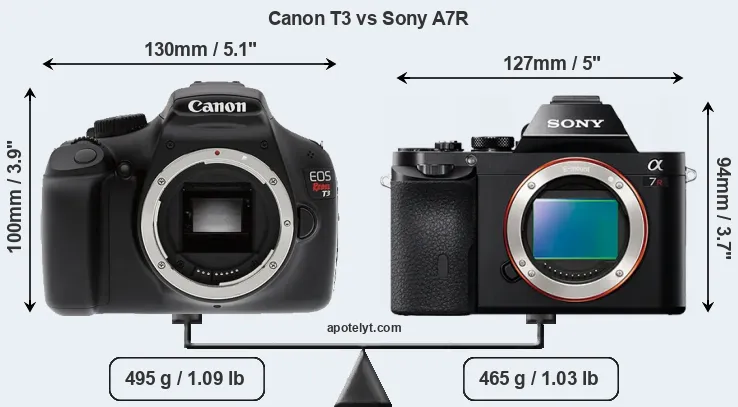 Size Canon T3 vs Sony A7R