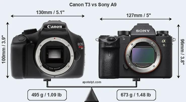 Size Canon T3 vs Sony A9
