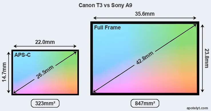 Canon T3 and Sony A9 sensor measures