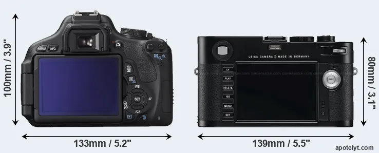 Comparison T3i or M Typ 240 rear