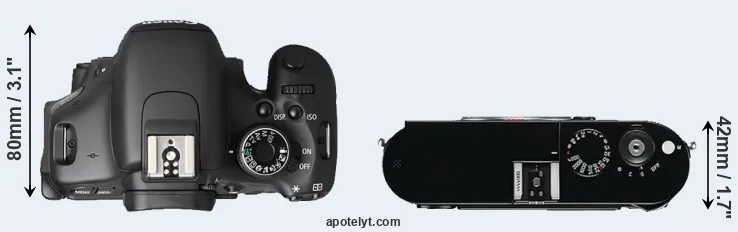 Compare T3i versus M Typ 240 top