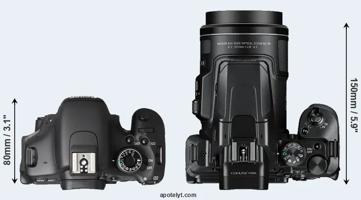 Compare T3i versus P950 top