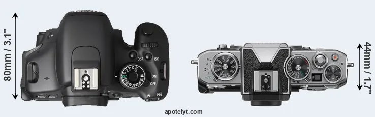 Compare T3i versus Z fc top