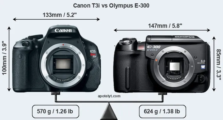 Size Canon T3i vs Olympus E-300