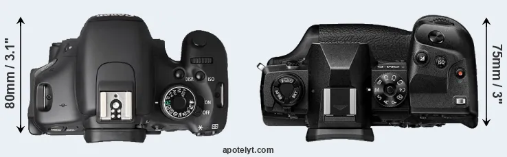 Compare T3i versus E-M1X top
