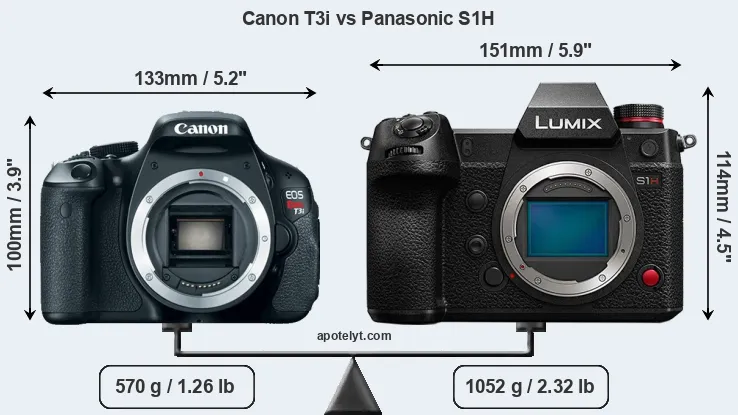 Size Canon T3i vs Panasonic S1H