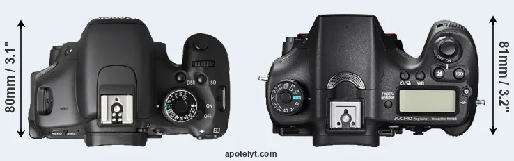 Compare T3i versus A77 II top